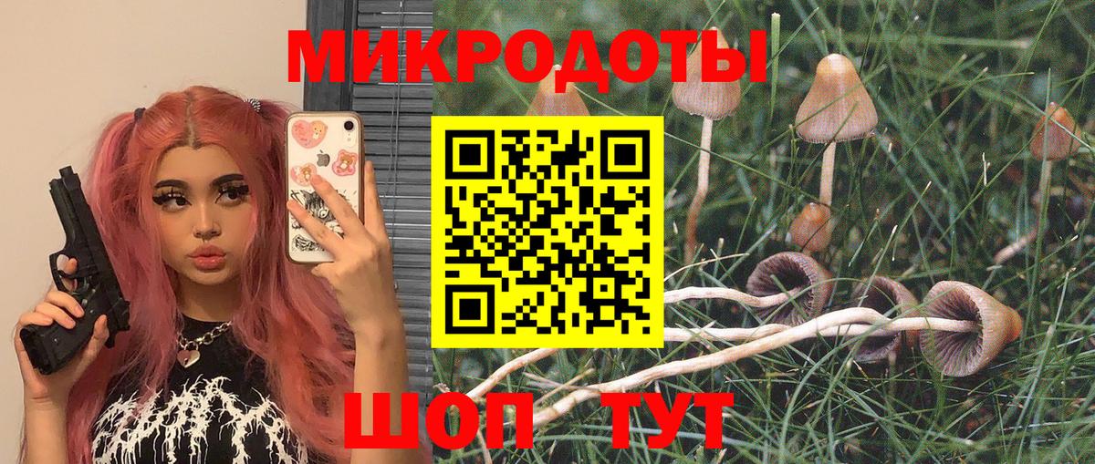 где продают   Вход с VPN  Псилоцибиновые грибы Psilocybe  Нефтекамск  Псилоцибиновые грибы Psilocybine cubensis 